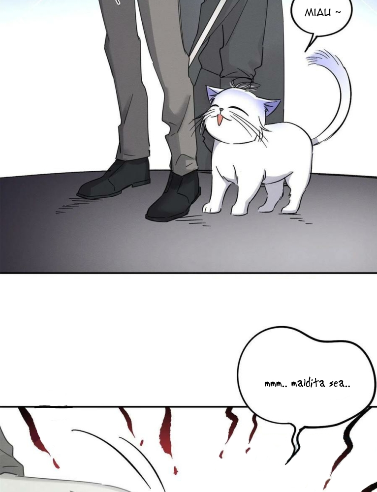 Tengo que trabajar duro para ser un gato hoy! - Capítulo 17 - Página 13 - LectorTMOo