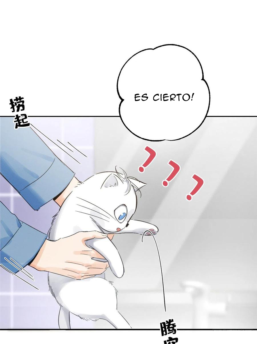 Tengo que trabajar duro para ser un gato hoy! - Capítulo 2 - Página 13 - LectorTMOo
