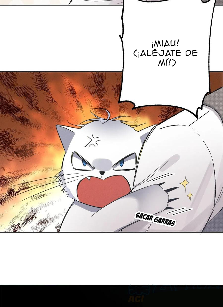 Tengo que trabajar duro para ser un gato hoy! - Capítulo 2 - Página 24 - LectorTMOo