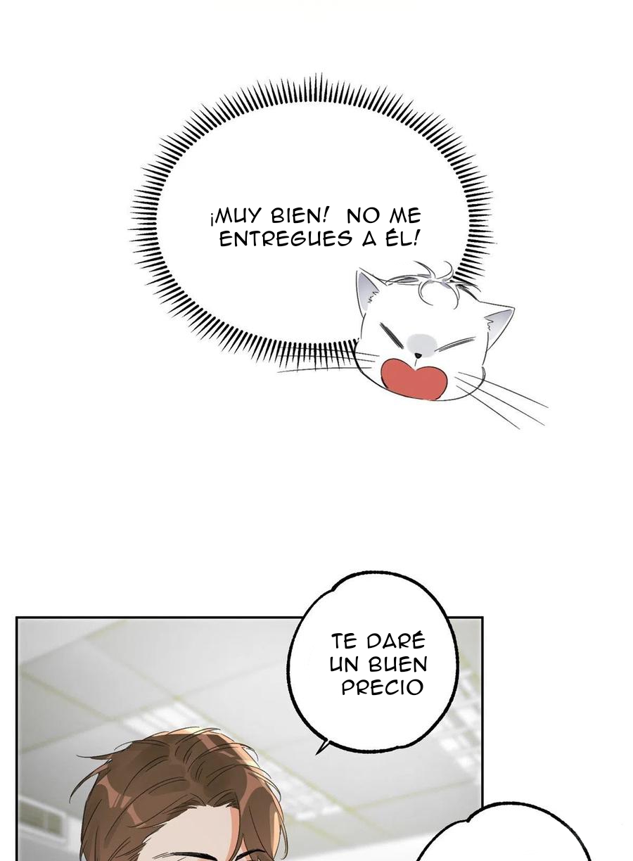 Tengo que trabajar duro para ser un gato hoy! - Capítulo 2 - Página 37 - LectorTMOo