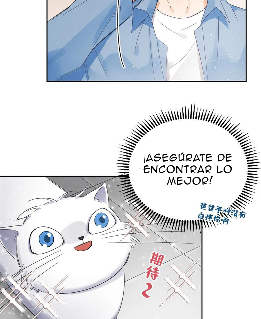 Tengo que trabajar duro para ser un gato hoy! - Capítulo 2 - Página 46 - LectorTMOo