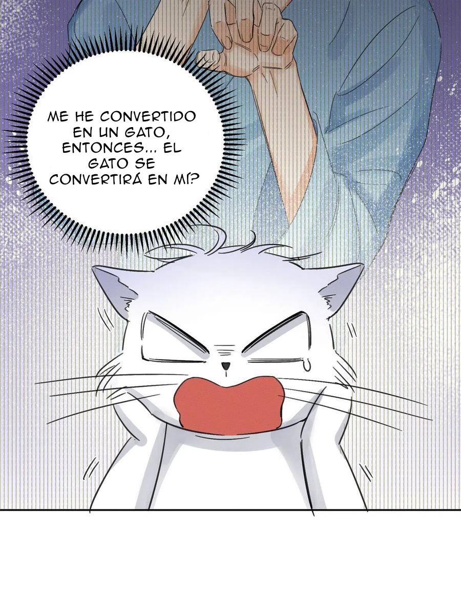 Tengo que trabajar duro para ser un gato hoy! - Capítulo 2 - Página 5 - LectorTMOo