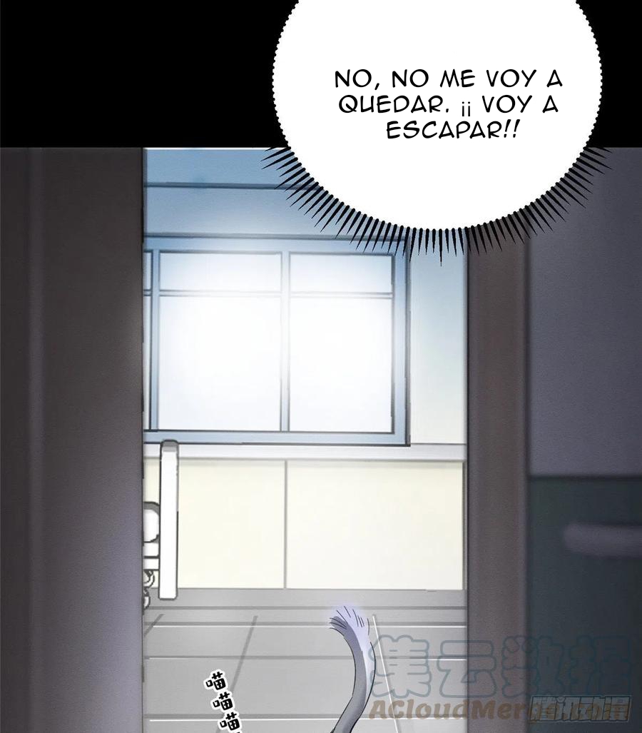 Tengo que trabajar duro para ser un gato hoy! - Capítulo 2 - Página 60 - LectorTMOo