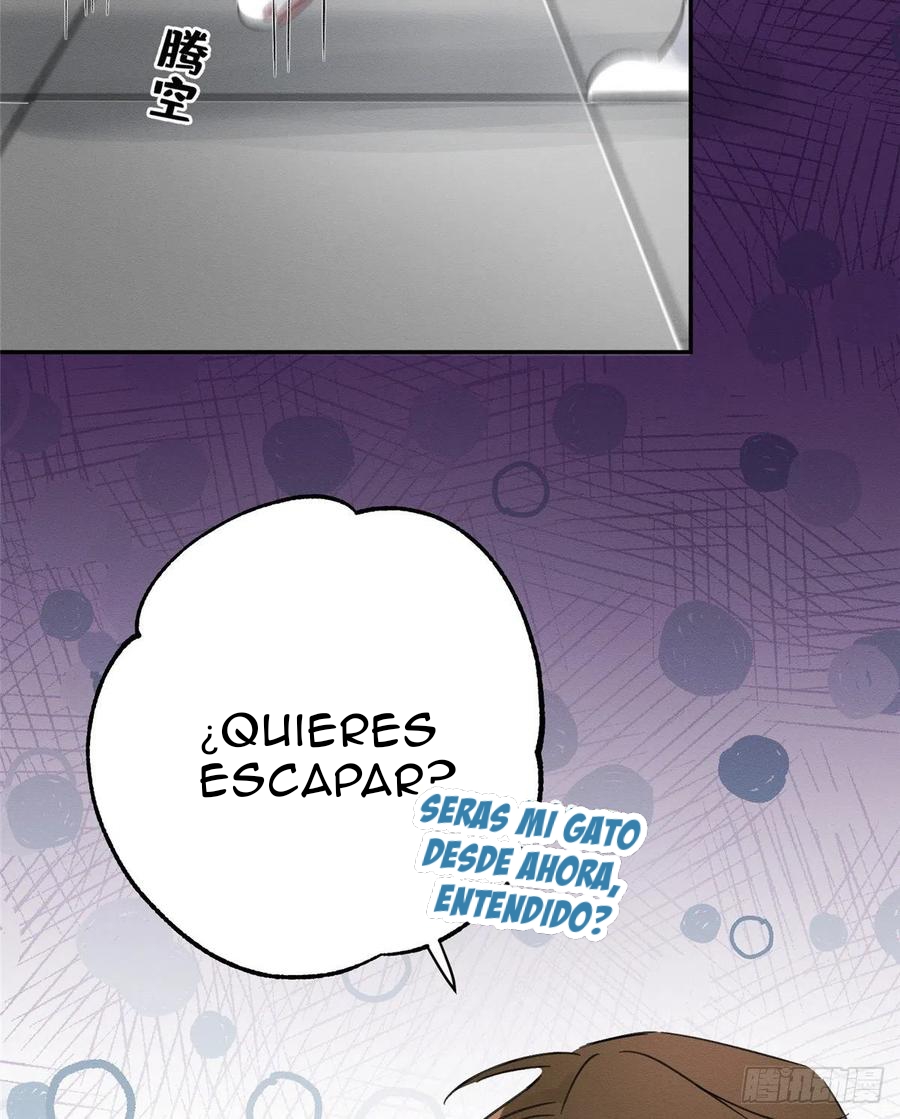 Tengo que trabajar duro para ser un gato hoy! - Capítulo 2 - Página 62 - LectorTMOo