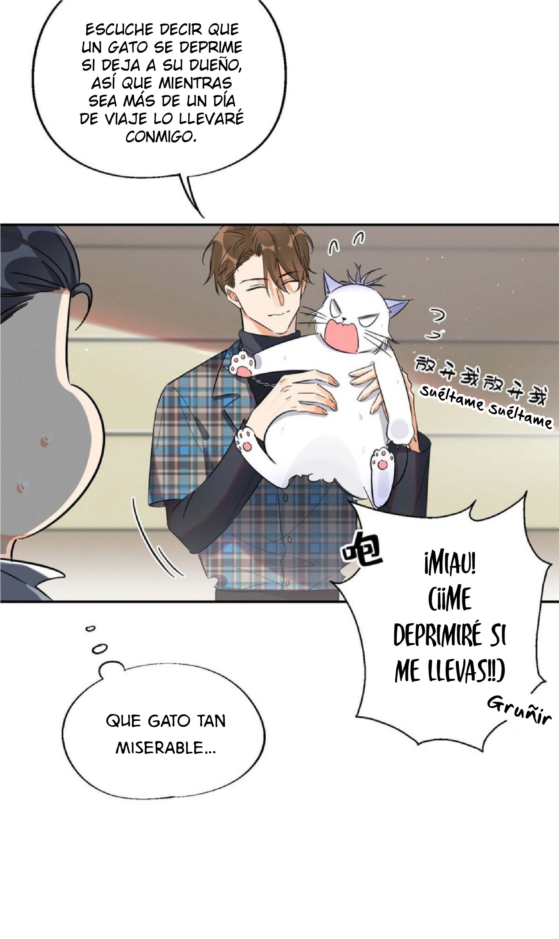Tengo que trabajar duro para ser un gato hoy! - Capítulo 22 - Página 19 - LectorTMOo