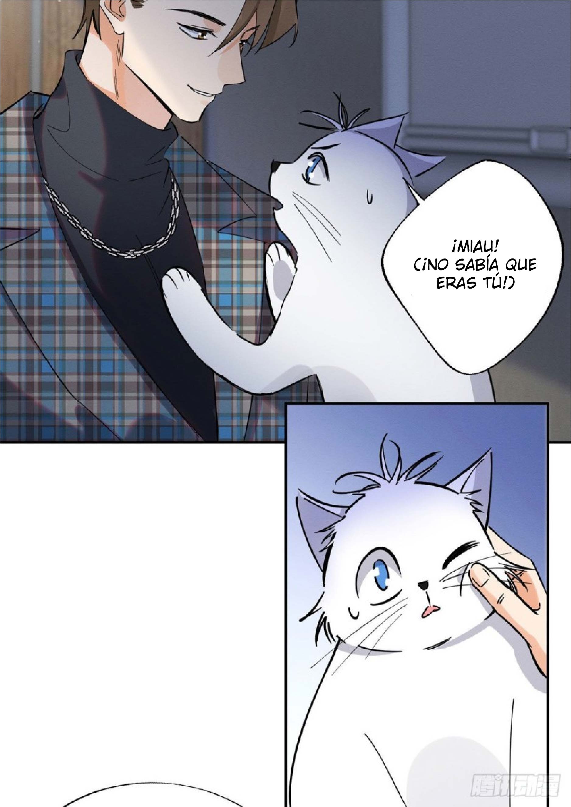 Tengo que trabajar duro para ser un gato hoy! - Capítulo 23 - Página 19 - LectorTMOo