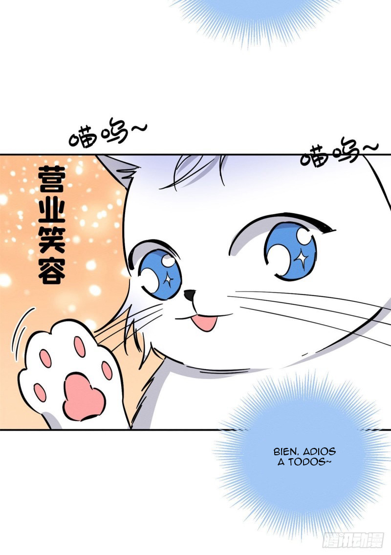 Tengo que trabajar duro para ser un gato hoy! - Capítulo 25 - Página 21 - LectorTMOo