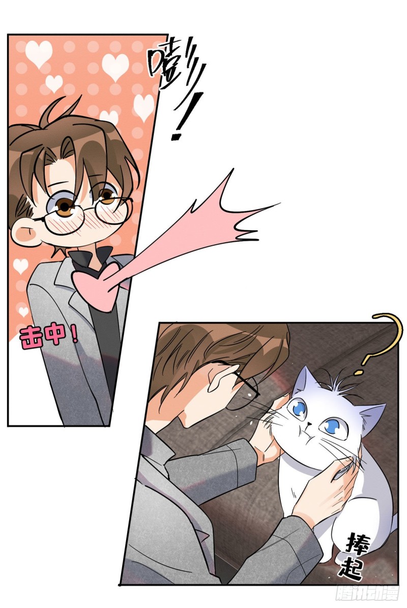 Tengo que trabajar duro para ser un gato hoy! - Capítulo 25 - Página 22 - LectorTMOo