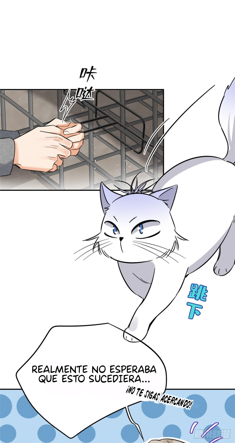 Tengo que trabajar duro para ser un gato hoy! - Capítulo 27 - Página 23 - LectorTMOo