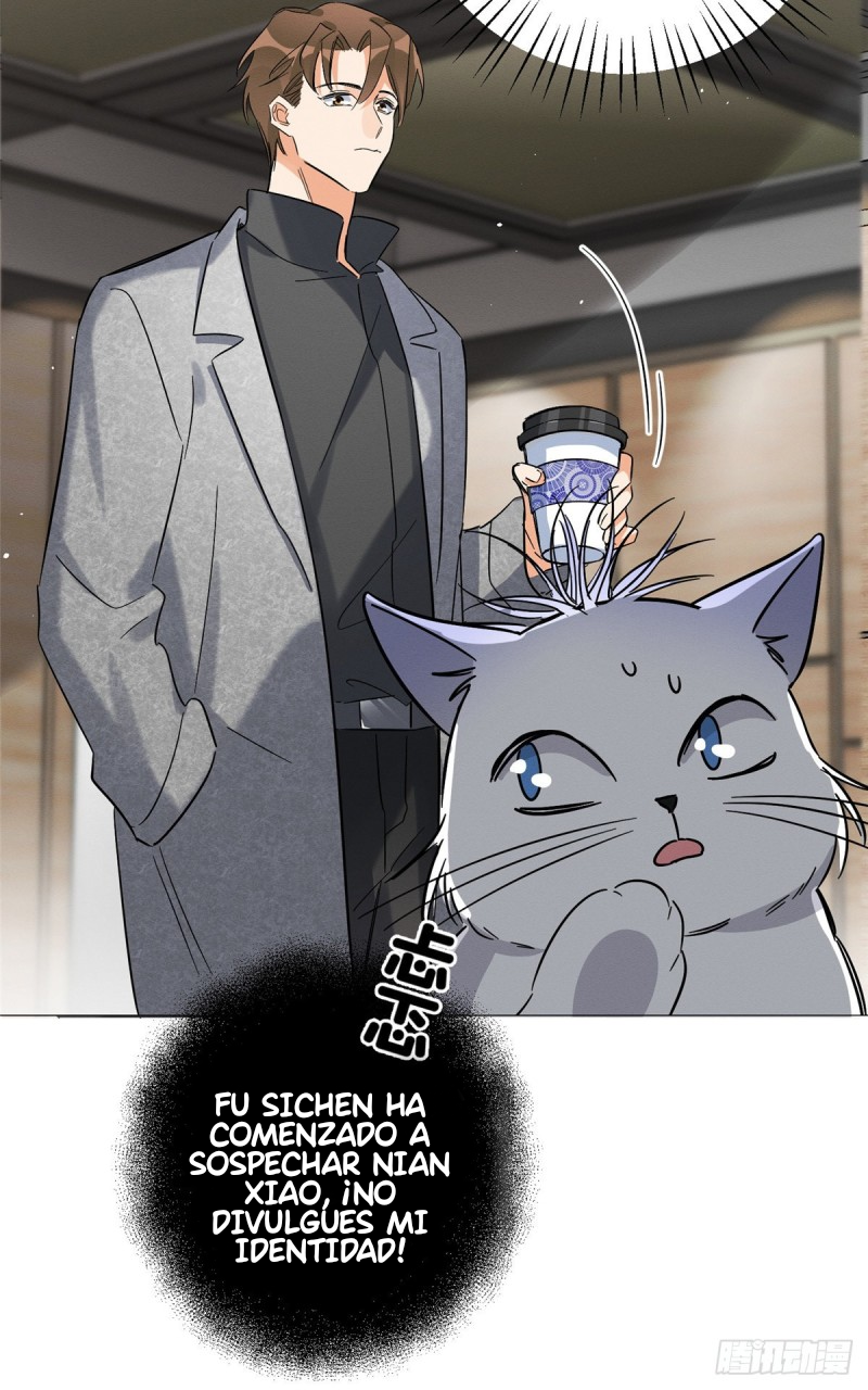 Tengo que trabajar duro para ser un gato hoy! - Capítulo 27 - Página 35 - LectorTMOo