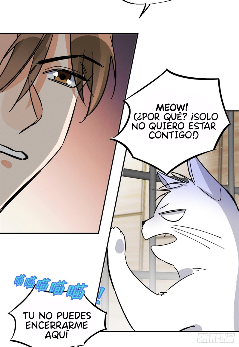 Tengo que trabajar duro para ser un gato hoy! - Capítulo 27 - Página 5 - LectorTMOo