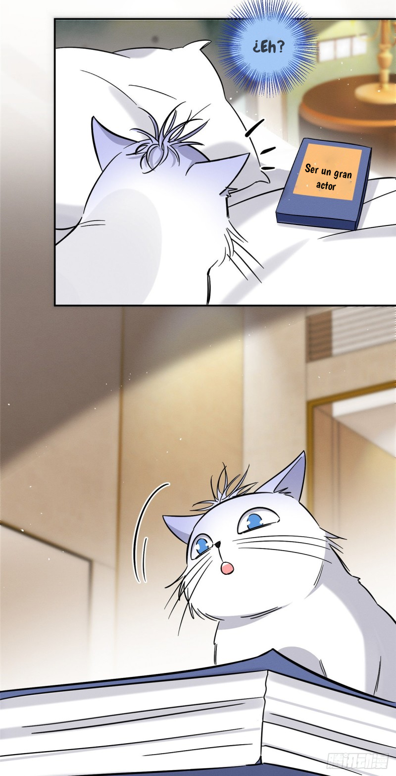 Tengo que trabajar duro para ser un gato hoy! - Capítulo 28 - Página 13 - LectorTMOo