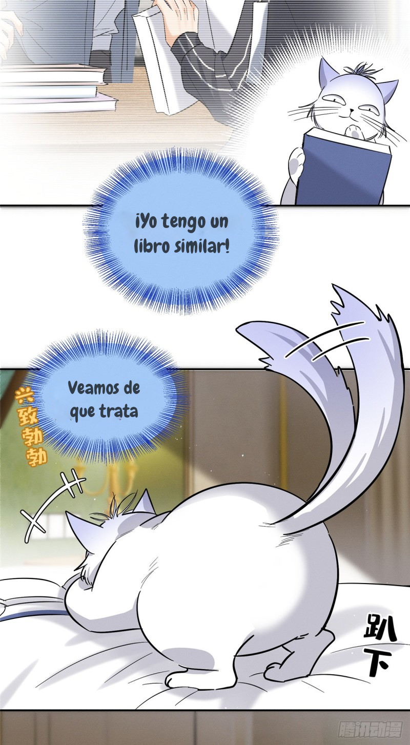 Tengo que trabajar duro para ser un gato hoy! - Capítulo 28 - Página 15 - LectorTMOo