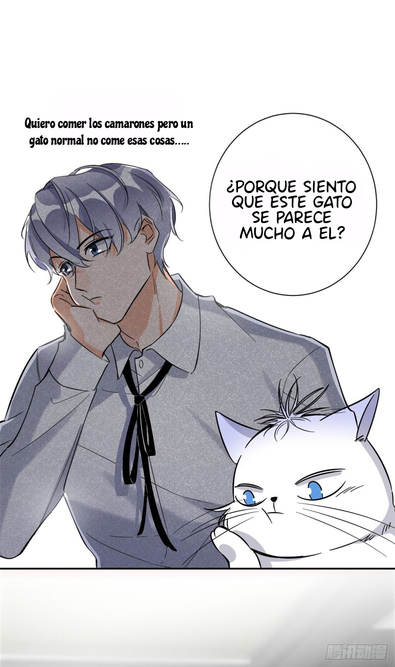 Tengo que trabajar duro para ser un gato hoy! - Capítulo 28 - Página 3 - LectorTMOo