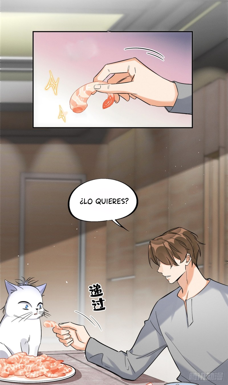 Tengo que trabajar duro para ser un gato hoy! - Capítulo 28 - Página 4 - LectorTMOo