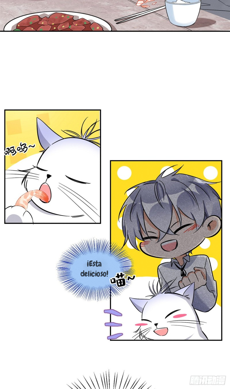 Tengo que trabajar duro para ser un gato hoy! - Capítulo 28 - Página 5 - LectorTMOo