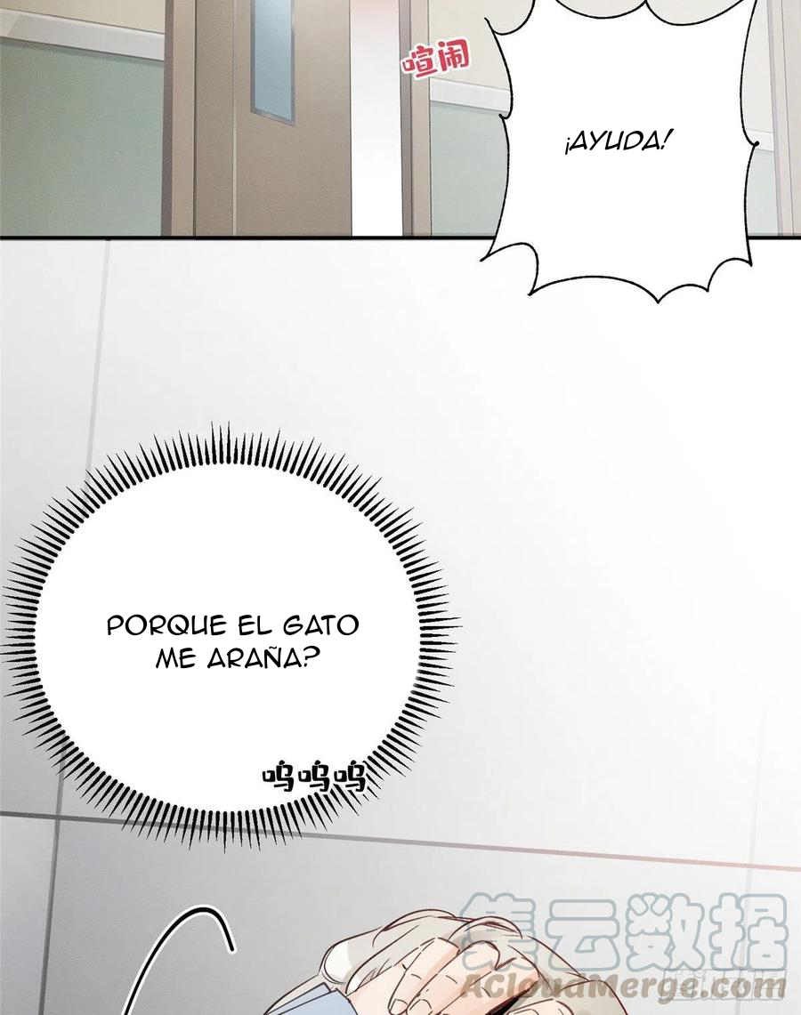 Tengo que trabajar duro para ser un gato hoy! - Capítulo 3 - Página 4 - LectorTMOo
