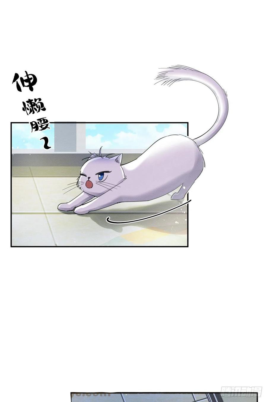 Tengo que trabajar duro para ser un gato hoy! - Capítulo 3 - Página 43 - LectorTMOo