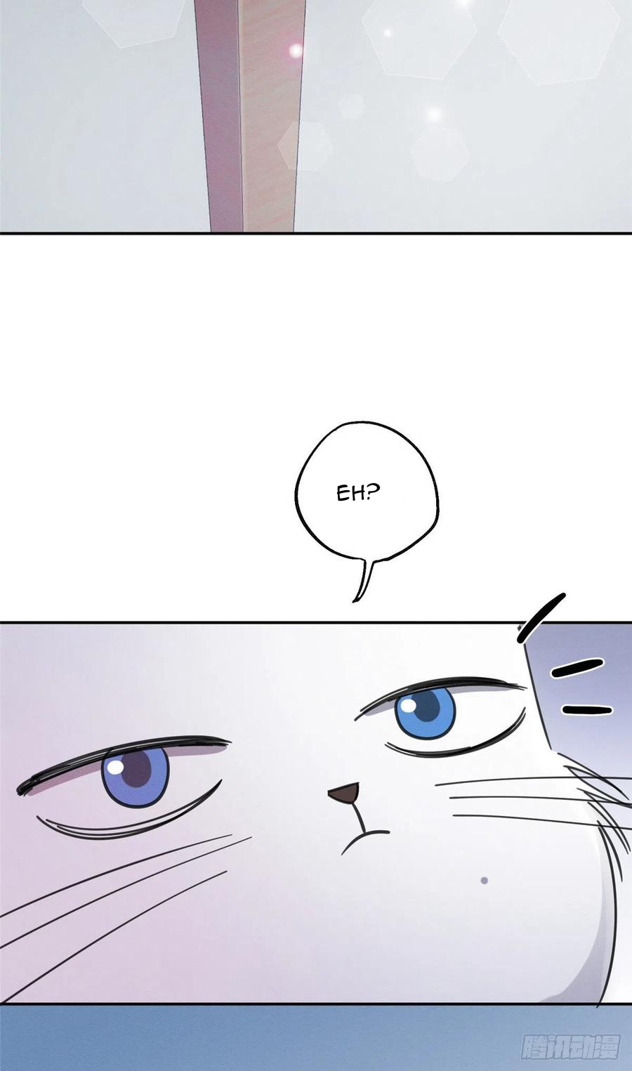 Tengo que trabajar duro para ser un gato hoy! - Capítulo 3 - Página 60 - LectorTMOo