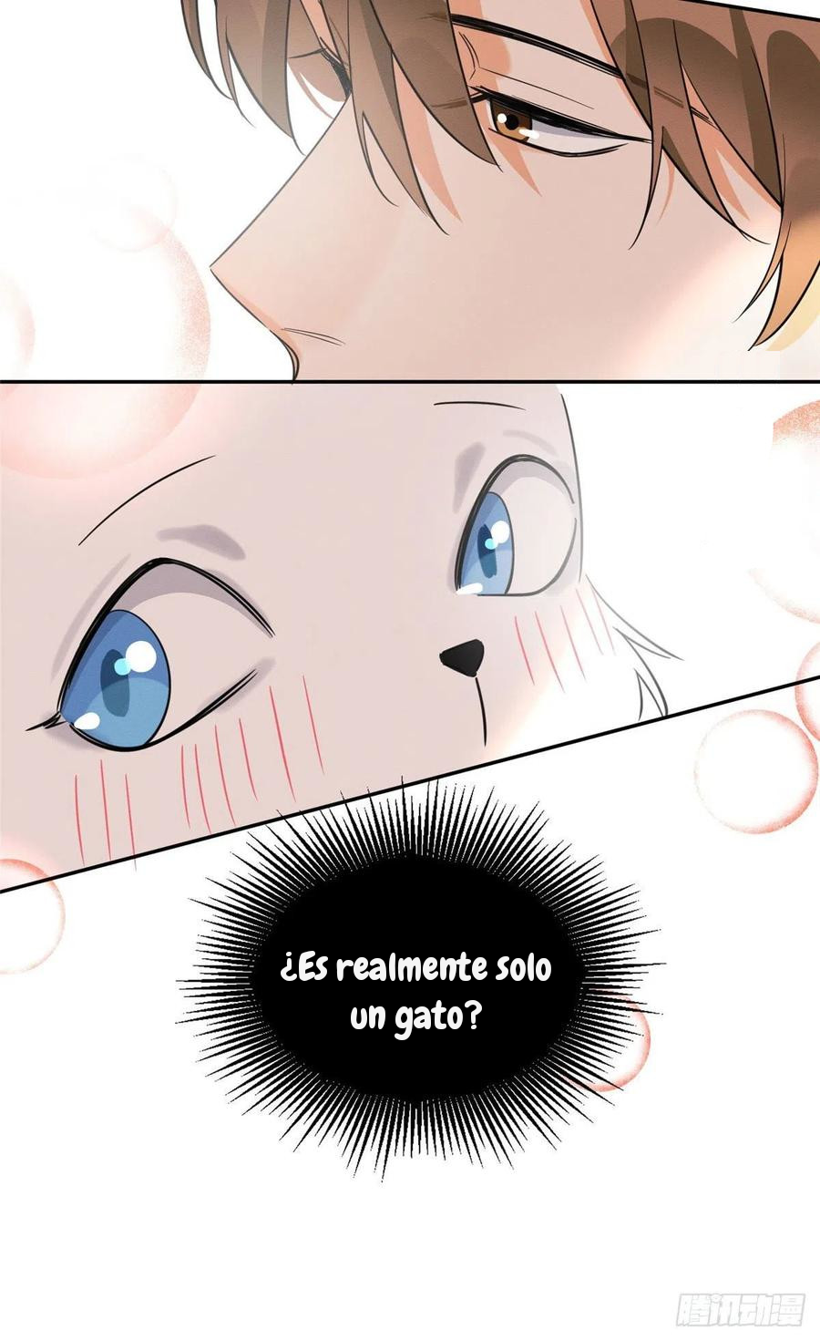 Tengo que trabajar duro para ser un gato hoy! - Capítulo 34 - Página 31 - LectorTMOo