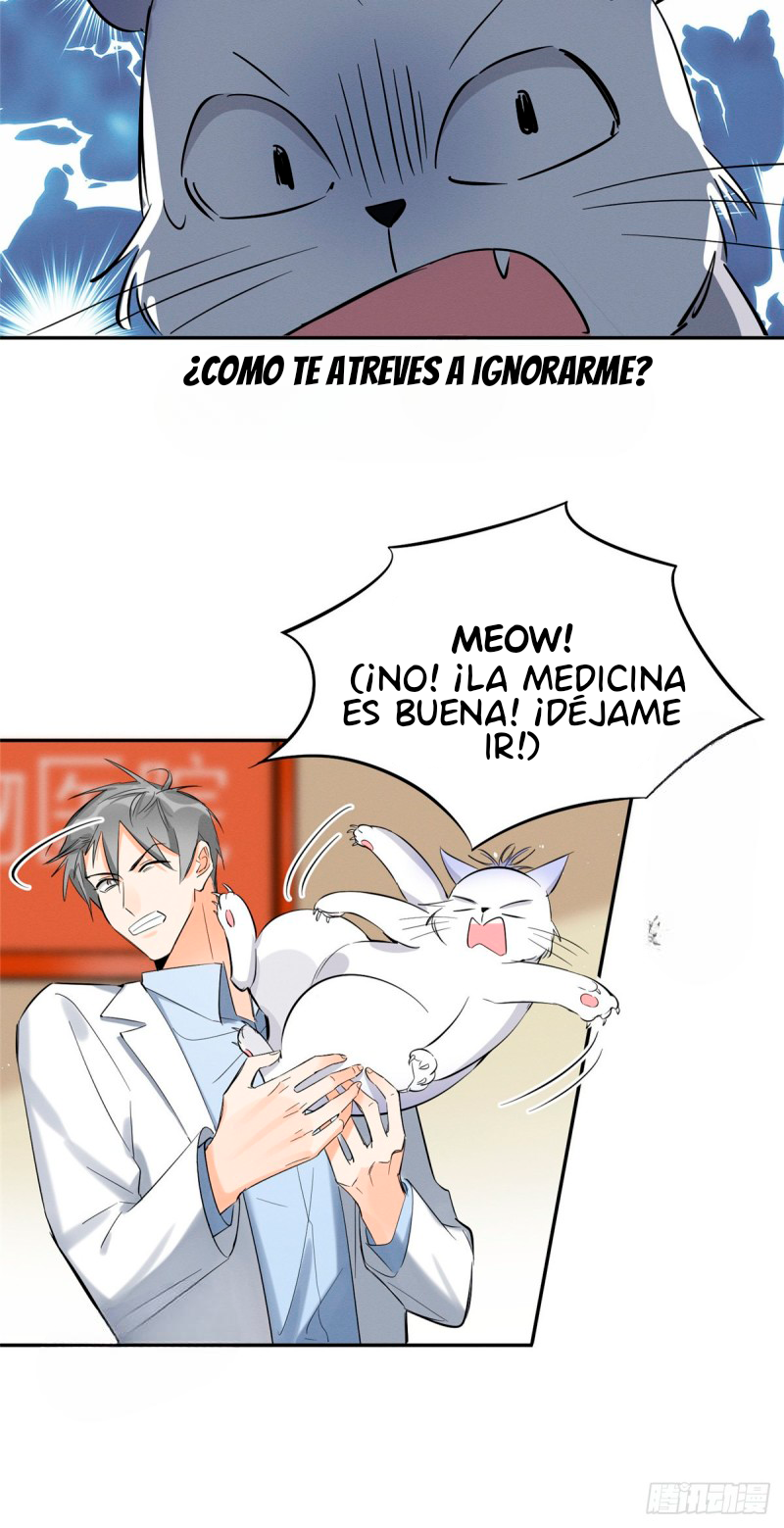 Tengo que trabajar duro para ser un gato hoy! - Capítulo 35 - Página 15 - LectorTMOo