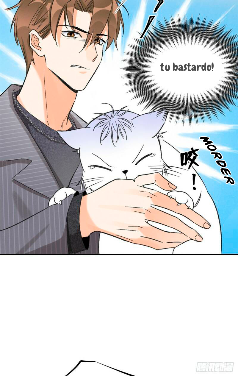 Tengo que trabajar duro para ser un gato hoy! - Capítulo 35 - Página 19 - LectorTMOo