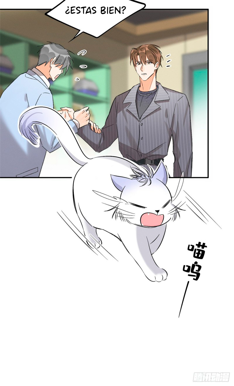 Tengo que trabajar duro para ser un gato hoy! - Capítulo 35 - Página 20 - LectorTMOo