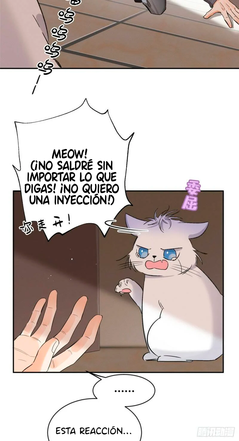 Tengo que trabajar duro para ser un gato hoy! - Capítulo 35 - Página 23 - LectorTMOo