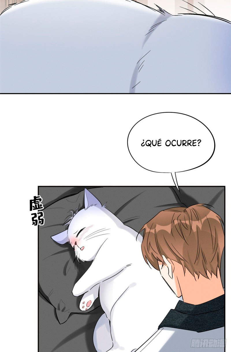 Tengo que trabajar duro para ser un gato hoy! - Capítulo 35 - Página 7 - LectorTMOo