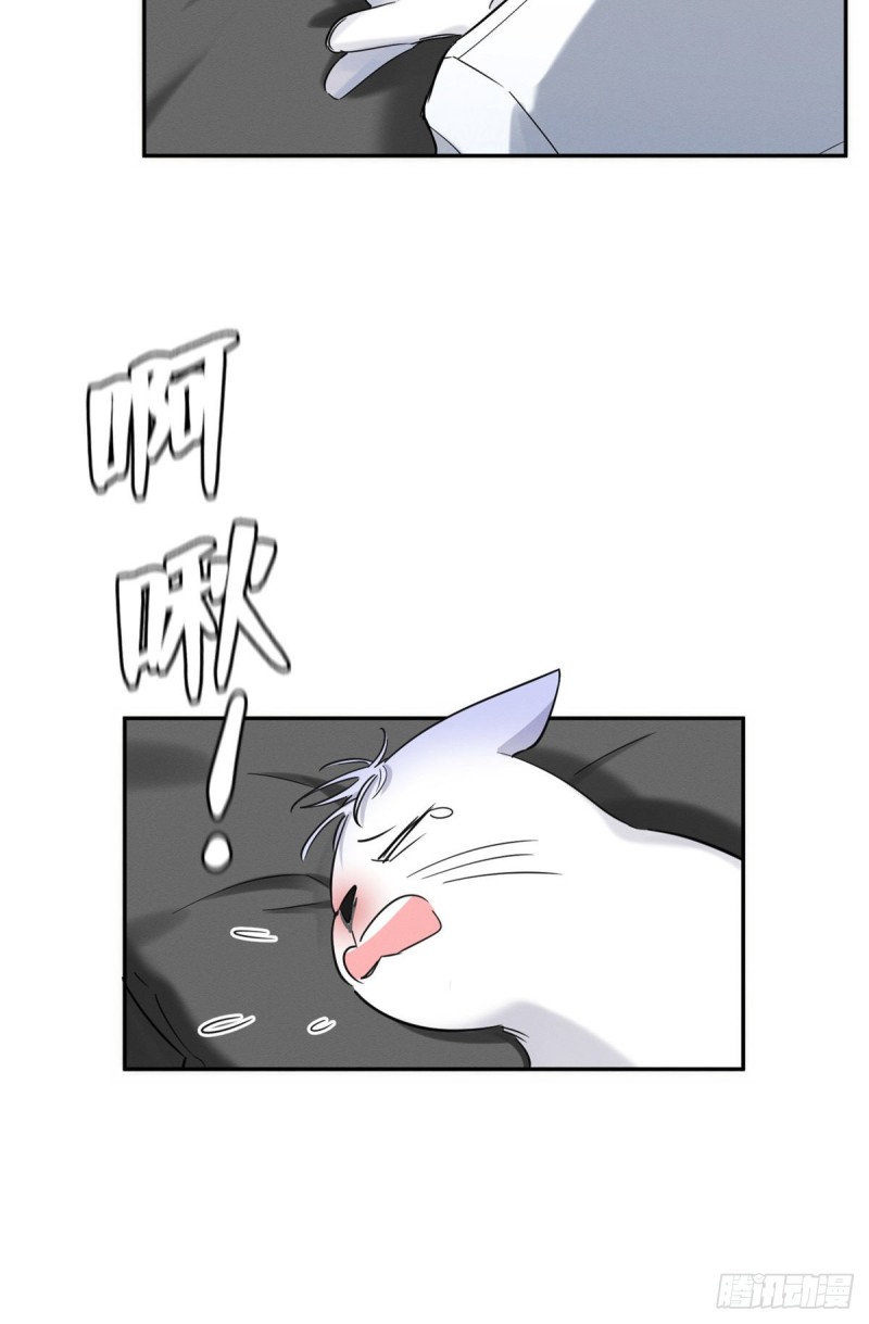 Tengo que trabajar duro para ser un gato hoy! - Capítulo 35 - Página 8 - LectorTMOo