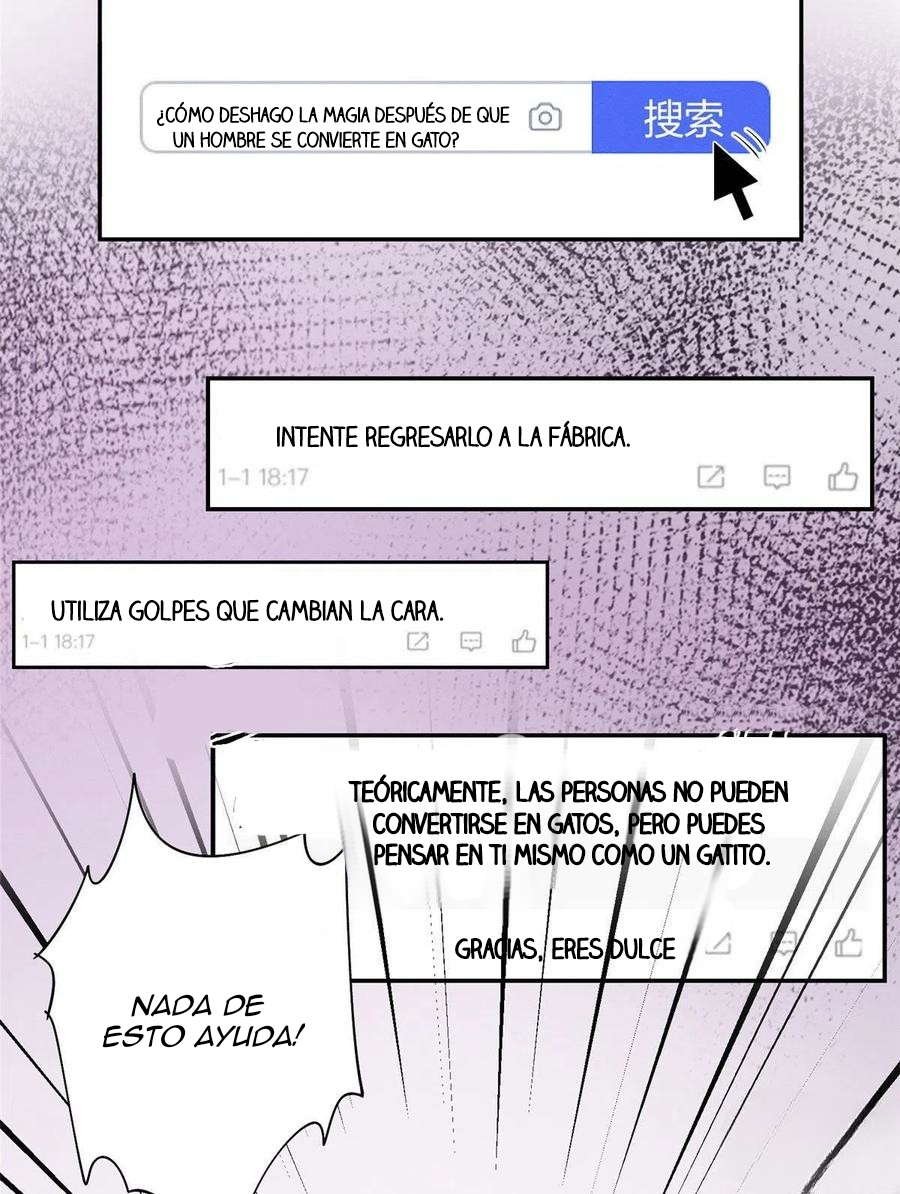 Tengo que trabajar duro para ser un gato hoy! - Capítulo 36 - Página 17 - LectorTMOo