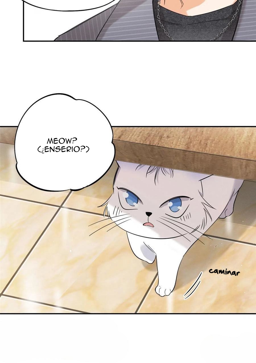 Tengo que trabajar duro para ser un gato hoy! - Capítulo 36 - Página 6 - LectorTMOo