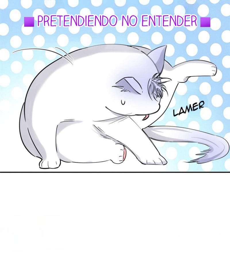 Tengo que trabajar duro para ser un gato hoy! - Capítulo 37 - Página 15 - LectorTMOo