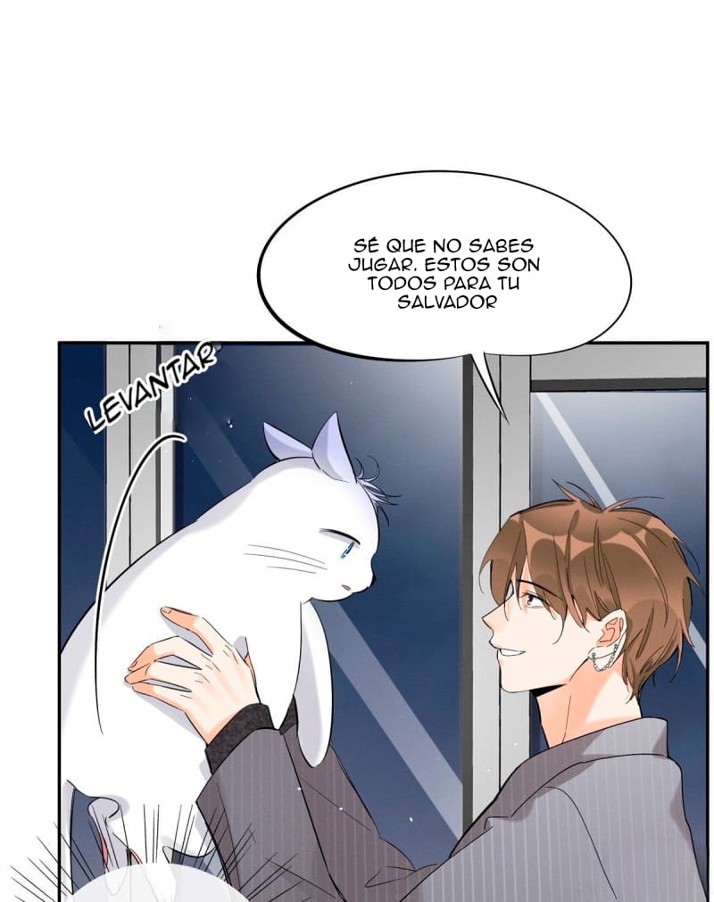 Tengo que trabajar duro para ser un gato hoy! - Capítulo 37 - Página 17 - LectorTMOo