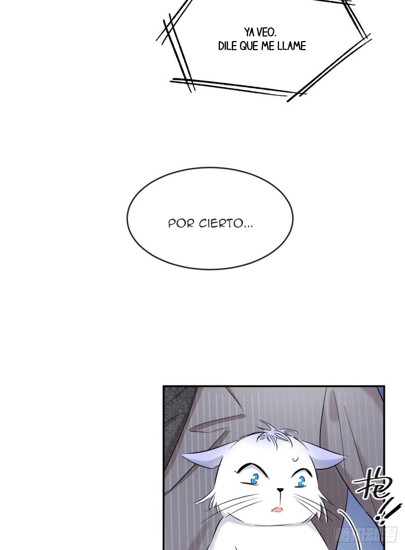 Tengo que trabajar duro para ser un gato hoy! - Capítulo 37 - Página 36 - LectorTMOo