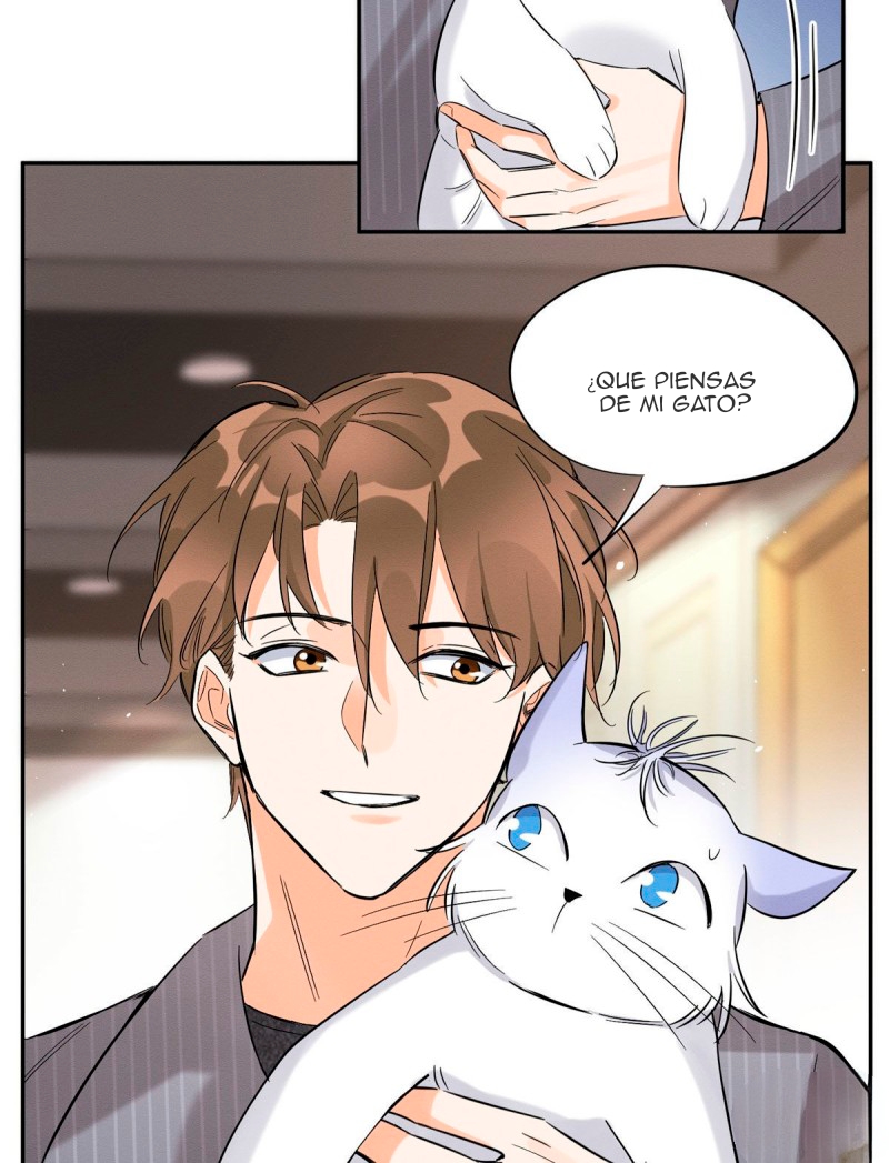 Tengo que trabajar duro para ser un gato hoy! - Capítulo 37 - Página 37 - LectorTMOo