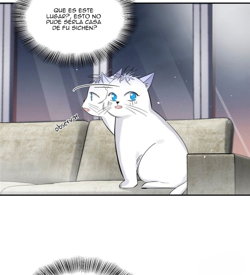 Tengo que trabajar duro para ser un gato hoy! - Capítulo 37 - Página 7 - LectorTMOo