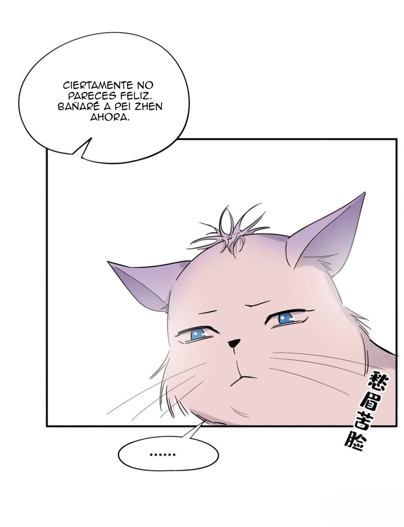Tengo que trabajar duro para ser un gato hoy! - Capítulo 38 - Página 14 - LectorTMOo