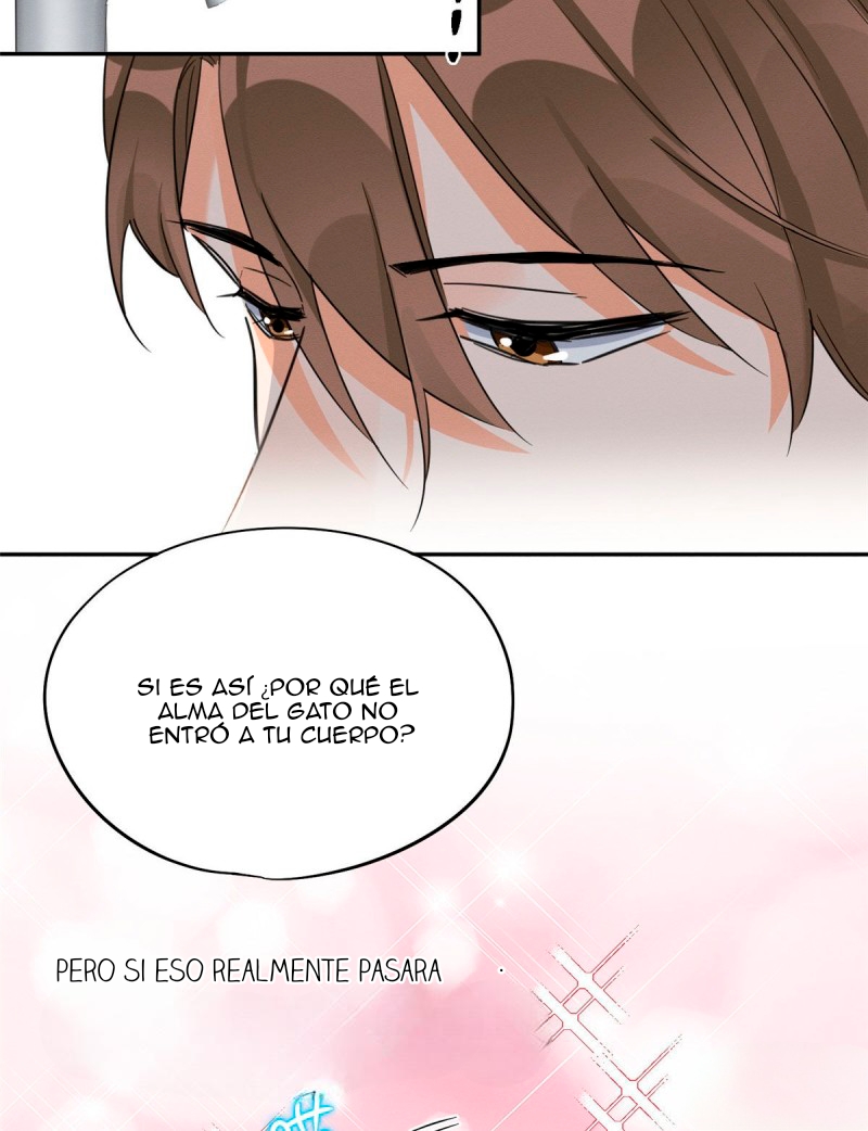 Tengo que trabajar duro para ser un gato hoy! - Capítulo 38 - Página 19 - LectorTMOo