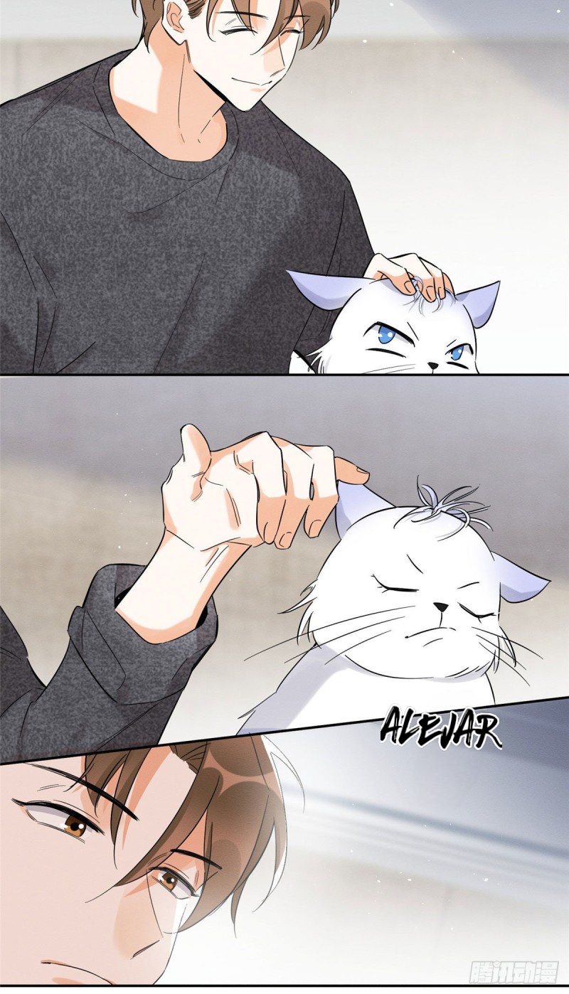 Tengo que trabajar duro para ser un gato hoy! - Capítulo 38 - Página 37 - LectorTMOo