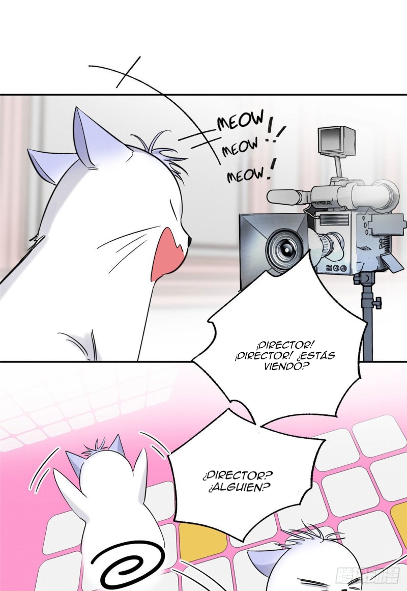 Tengo que trabajar duro para ser un gato hoy! - Capítulo 39 - Página 36 - LectorTMOo
