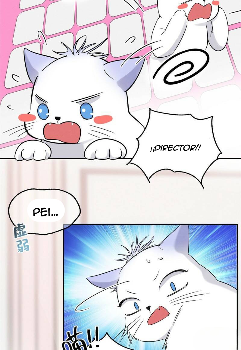 Tengo que trabajar duro para ser un gato hoy! - Capítulo 39 - Página 37 - LectorTMOo