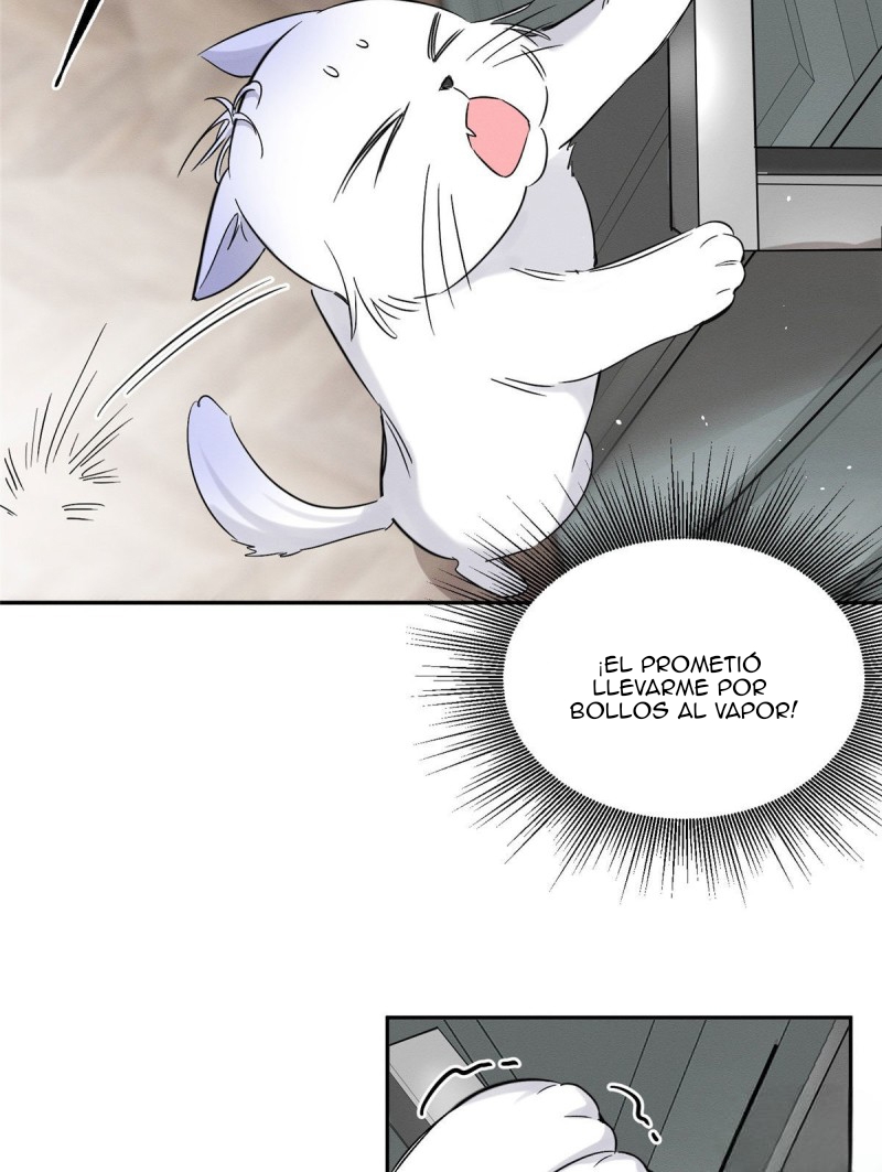 Tengo que trabajar duro para ser un gato hoy! - Capítulo 39 - Página 41 - LectorTMOo