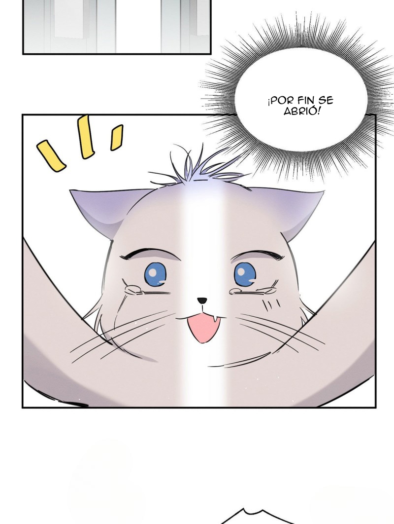 Tengo que trabajar duro para ser un gato hoy! - Capítulo 39 - Página 44 - LectorTMOo