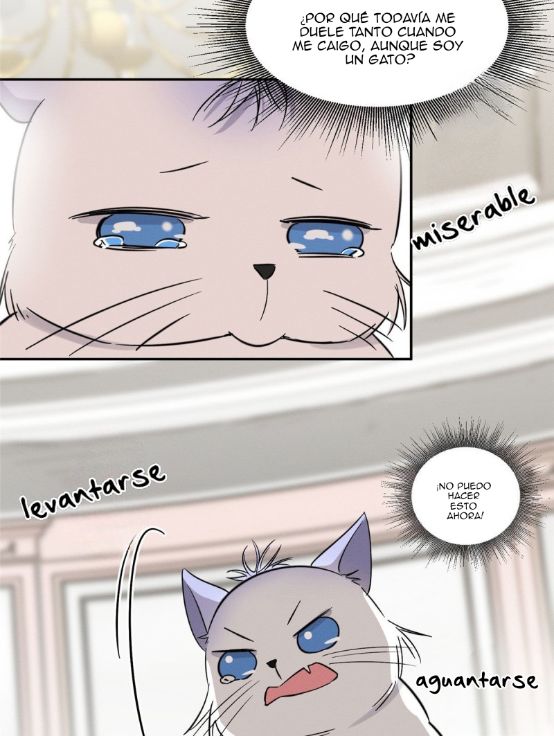 Tengo que trabajar duro para ser un gato hoy! - Capítulo 39 - Página 46 - LectorTMOo