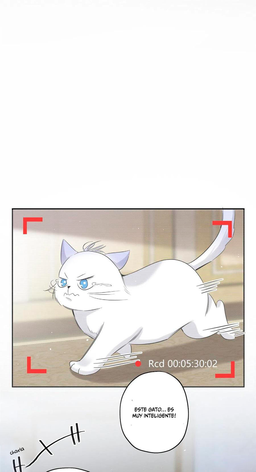 Tengo que trabajar duro para ser un gato hoy! - Capítulo 40 - Página 1 - LectorTMOo