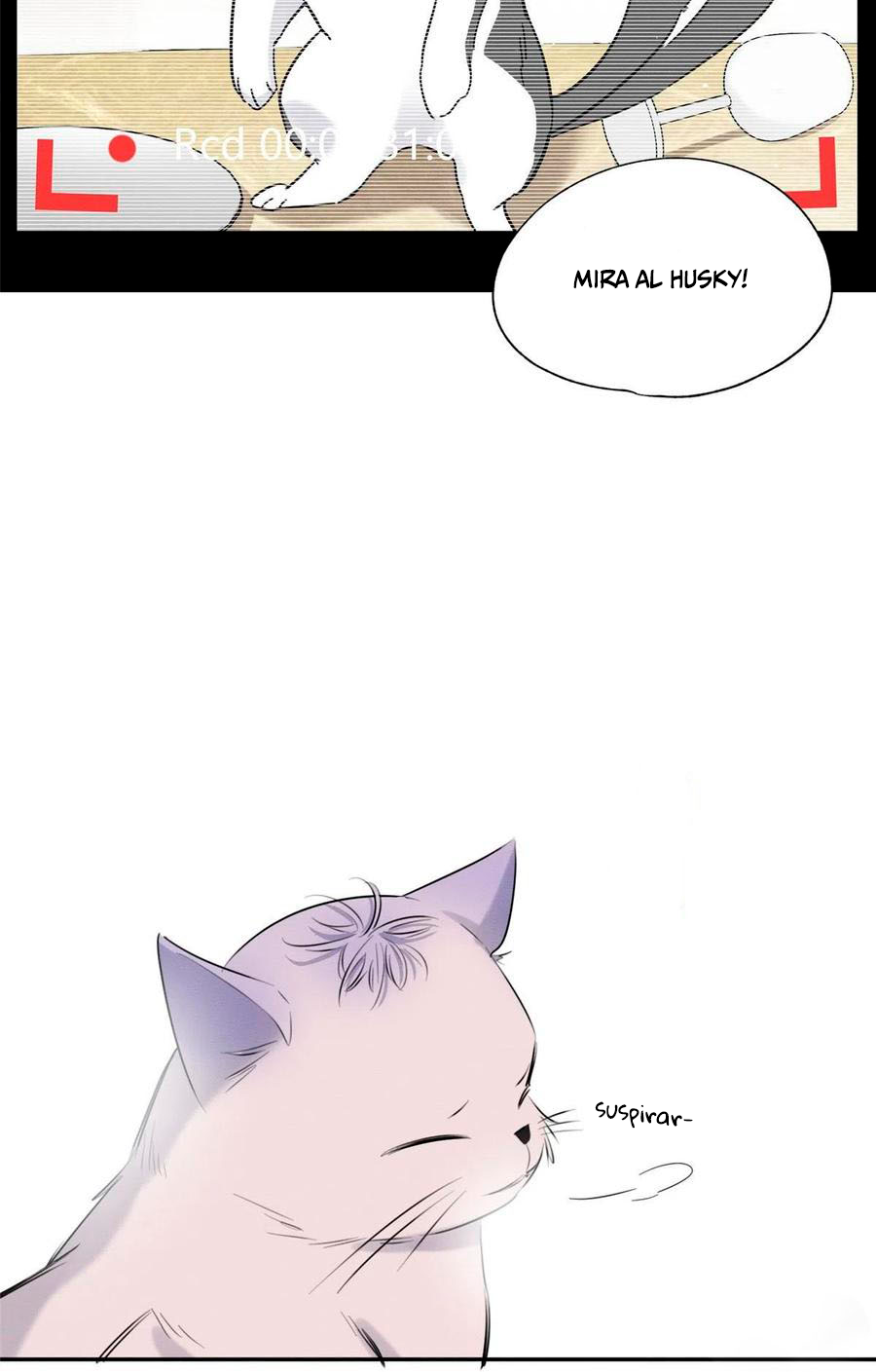Tengo que trabajar duro para ser un gato hoy! - Capítulo 40 - Página 19 - LectorTMOo