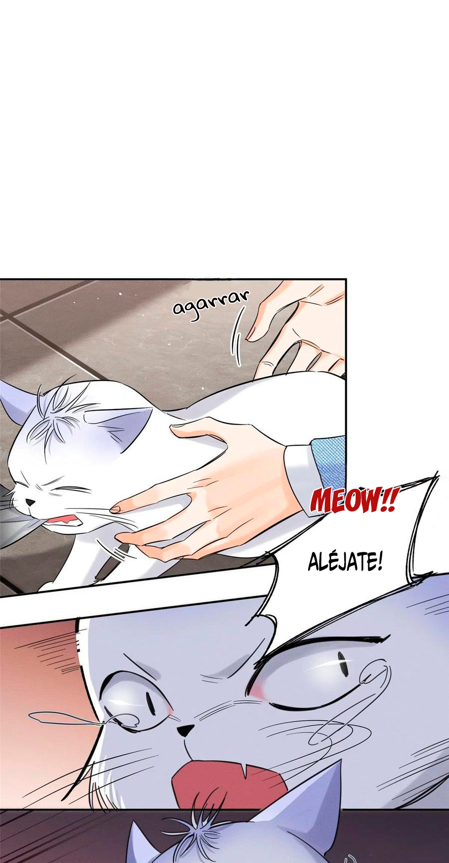 Tengo que trabajar duro para ser un gato hoy! - Capítulo 40 - Página 7 - LectorTMOo