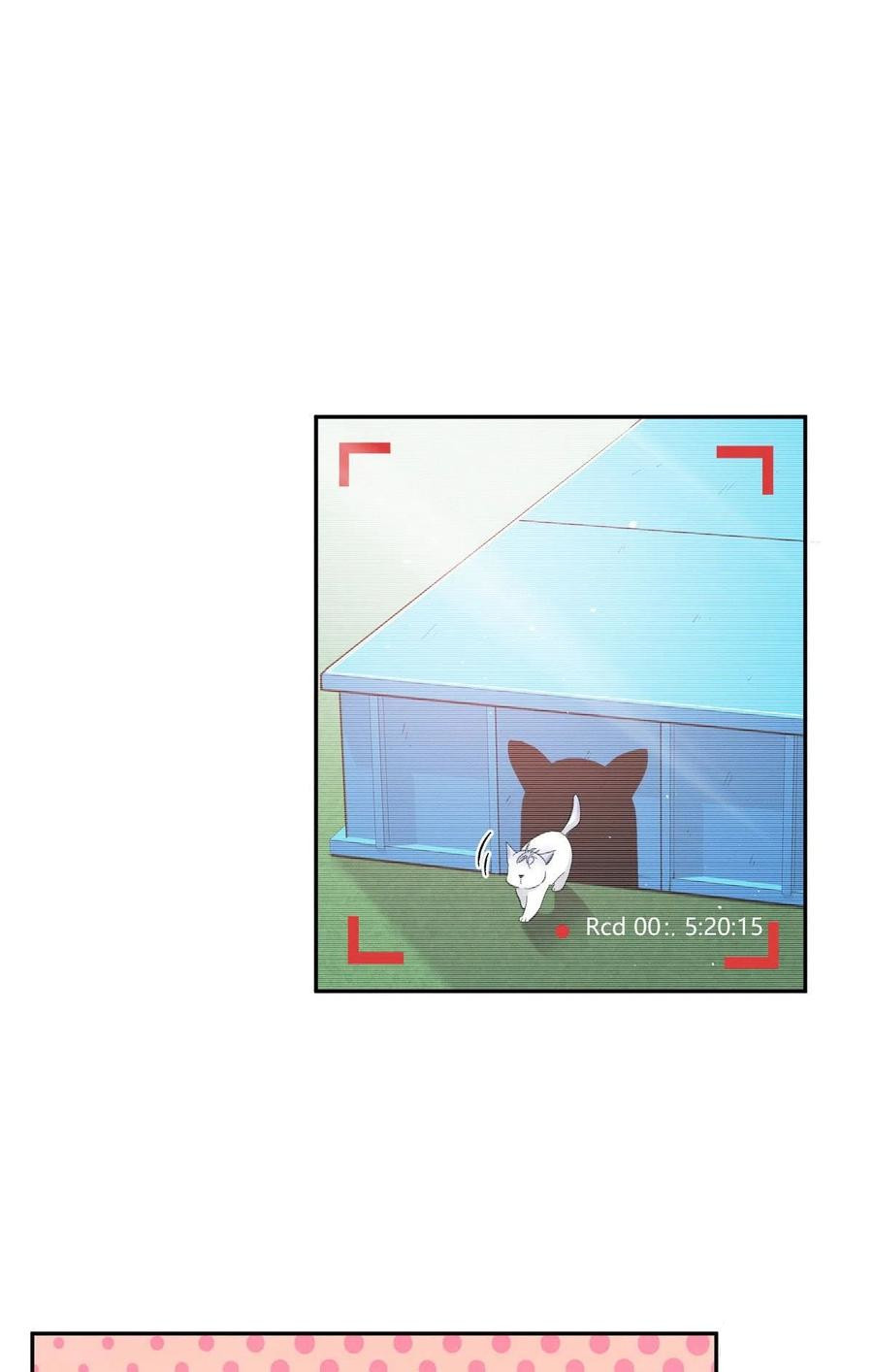 Tengo que trabajar duro para ser un gato hoy! - Capítulo 42 - Página 22 - LectorTMOo
