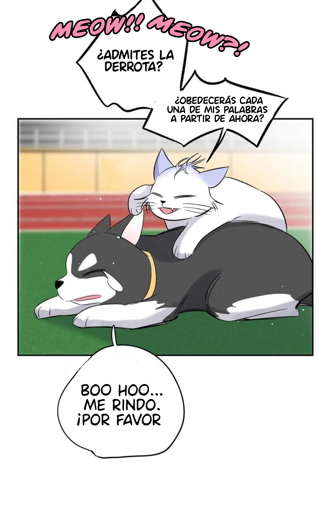 Tengo que trabajar duro para ser un gato hoy! - Capítulo 42 - Página 38 - LectorTMOo